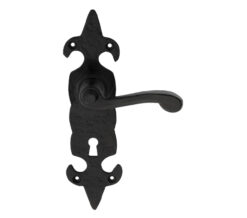 Ludlow Foundries Fleur De Lys Door Handles On Backplate, Black Antique (Sold In Pairs)