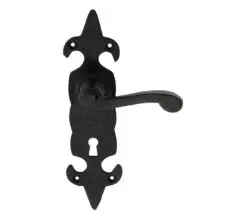Ludlow Foundries Fleur De Lys Door Handles On Backplate, Black Antique (Sold In Pairs)