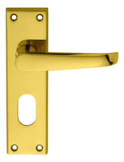 Carlisle Brass M30U Victorian Lever On Backplate - Lock Oval Profile 48.5mm C/C Polished Brass