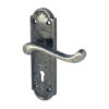 Turnberry Door Handles On Backplate, Pewter Finish (sold in pairs)