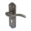 Wentworth Door Handles On Backplate, Pewter (Sold In Pairs)