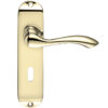 Zoo Hardware Project Range Arundel Door Handles On Backplate, Electro Brass (Sold In Pairs)