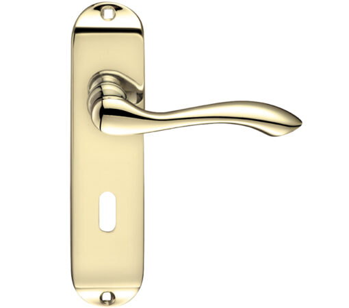 Zoo Hardware Project Range Arundel Door Handles On Backplate, Electro Brass (Sold In Pairs)