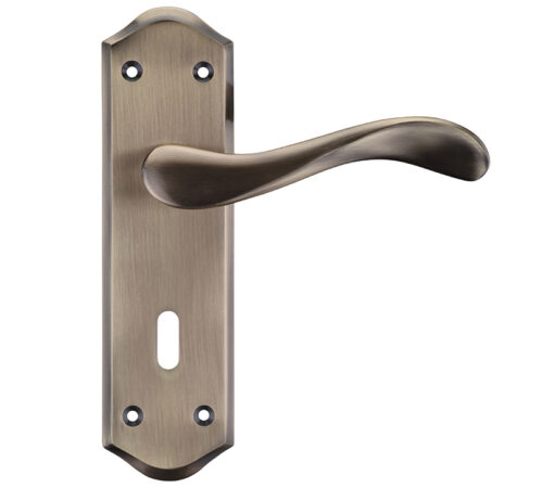 Zoo Hardware Project Range Asti Door Handles On Backplate, Florentine Bronze (Sold In Pairs)