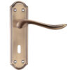 Zoo Hardware Project Range Lincoln Door Handles On Backplate, Florentine Bronze (Sold In Pairs)