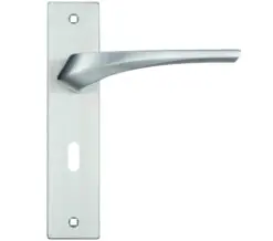 Zoo Hardware Rosso Maniglie Aries Door Handles On Backplate, Satin Chrome (Sold In Pairs)