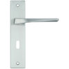 Zoo Hardware Rosso Maniglie Lyra Door Handles On Backplate, Satin Chrome (Sold In Pairs)