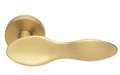 Spoon Lever on Round Rose in Satin Brass