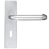 Zoo Hardware Architectural Return To Door Lever On Backplate, Satin Aluminium (Sold In Pairs)