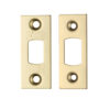 Zoo Hardware Face Plate And Strike Plate Accessory Pack, Pvd Stainless Brass