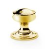 Alexander And Wilks Tortoise Shell Mortice Knob 50mm Dia. Unlacquered Brass AW302-50-UB