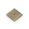 Alexander And Wilks Quantock Square Backplate AW893-38-AB Antique Brass
