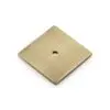 Alexander And Wilks Bullion Square Backplate - 45Mm AW894-45-AB Antique Brass