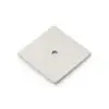Alexander And Wilks Bullion Square Backplate - 45Mm AW894-45-SN Satin Nickel