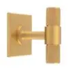 Carlisle Brass BP711SB40SB Lines T-Bar Knob on Backplate 40mm Satin Brass