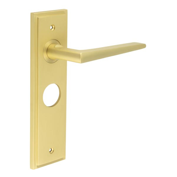 Mayfair Door Handle Bathroom Backplate Satin Brass