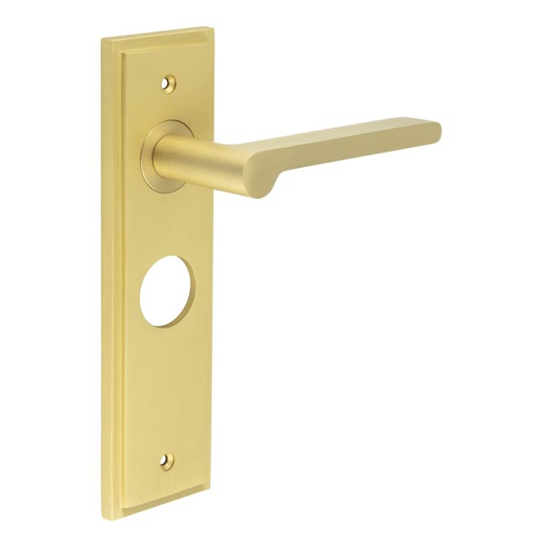 Fitzrovia Door Handle Bathroom Backplate Satin Brass