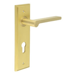 Fitzrovia Door Handle Din Euro Backplate Satin Brass