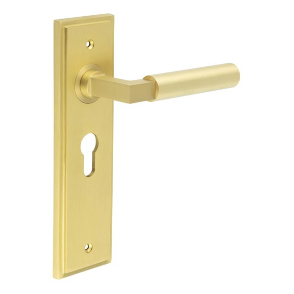 Westminster Door Handle Euro Backplate Satin Brass