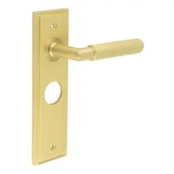 Piccadilly Door Handle Bathroom Backplate Satin Brass
