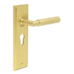 Piccadilly Door Handle Euro Backplate Satin Brass