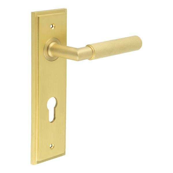 Piccadilly Door Handle Din Euro Backplate Satin Brass