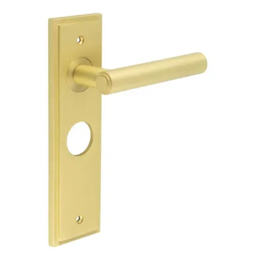 Richmond Door Handle Bathroom Backplate Satin Brass