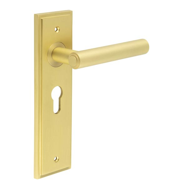 Richmond Door Handle Euro Backplate Satin Brass