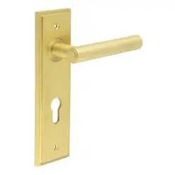 Richmond Door Handle Din Euro Backplate Satin Brass