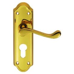 CARLISLE BRASS - DL17Y ASHTEAD LEVER ON BACKPLATE - LOCK EURO PROFILE 47.5MM C/C