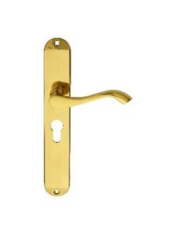 CARLISLE BRASS - DL380Y ANDROS LEVER ON BACKPLATE - LOCK EURO PROFILE 47.5MM C/C