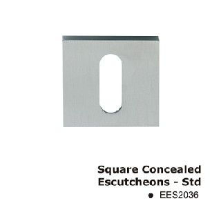 EES2036PSS Square Concealed Escutcheons-Std