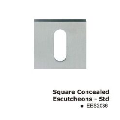 EES2036SSS Square Concealed Escutcheons-Std