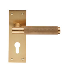 CARLISLE BRASS - EUL051YSB VARESE LEVER ON BACKPLATE - EURO 47.5MM