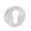 STATUS Nebraska Lever on Round Rose - Satin Chrome S28RSC