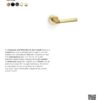 Alexander And Wilks Harrier Lever Knurled On 50X6mm Rose Matt Black AW210BL