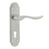 SC Henley lever lock furniture