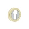 Frelan Euro Profile Escutcheon JV503ESCPB Polished Brass