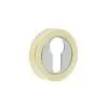Frelan Euro Profile Escutcheon JV503ESCPB Polished Brass