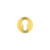 PVD Satin Brass
