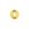STANDARD PROFILE ESCUTCHEON