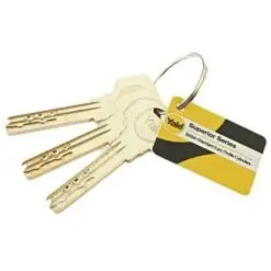 HS T/T Cyl TS007 1 Star 55/40 Nickel K/D 3 Keys