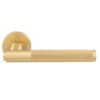 Satin Brass