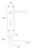 Zoo Hardware ZPA031EP-MB Toledo Door Handle on Euro Backplate Black