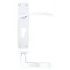 Zoo Hardware ZPA031EP-CP Toledo Door Handle on Euro Backplate Polished Chrome