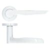 Zoo Hardware ZPA080-CP Vigo Door Handle on Rose Polished Chrome