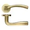 Zoo Hardware ZPZ050-FSB Siena Door Handle - Screw On Rose - Favo Satin Brass