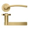 Zoo Hardware ZPZ100-FSB Adria Door Handle on round rose Pvd Satin Brass