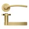 Zoo Hardware ZPZ100-FSB Adria Door Handle on round rose Pvd Satin Brass