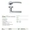 Zoo Hardware ZPZ140-FSB Olympus Door Handle on round rose Pvd Satin Brass